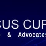 Amicus Curiae, Barristers & Advocates