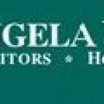 Angela Wang & Co.