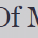Law Offices of Michael L Foy