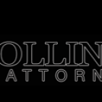 Hollins Schechter