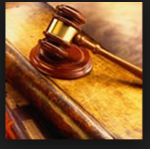 Janis L. Rosser, PC (Roswell, Georgia Commercial Law and Litigation Lawyer)