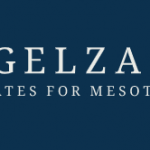 Vogelzang Law