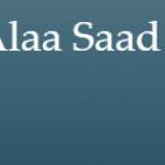 Alaa Saad Moustafa Law Office