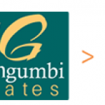Nicholas Ngumbi Advocates