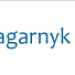 Bragarnyk & Partners