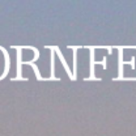 Kornfeld LLP