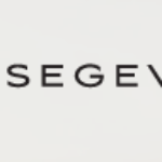 Segev LLP