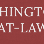 Vivienne Washington, Attorney at Law